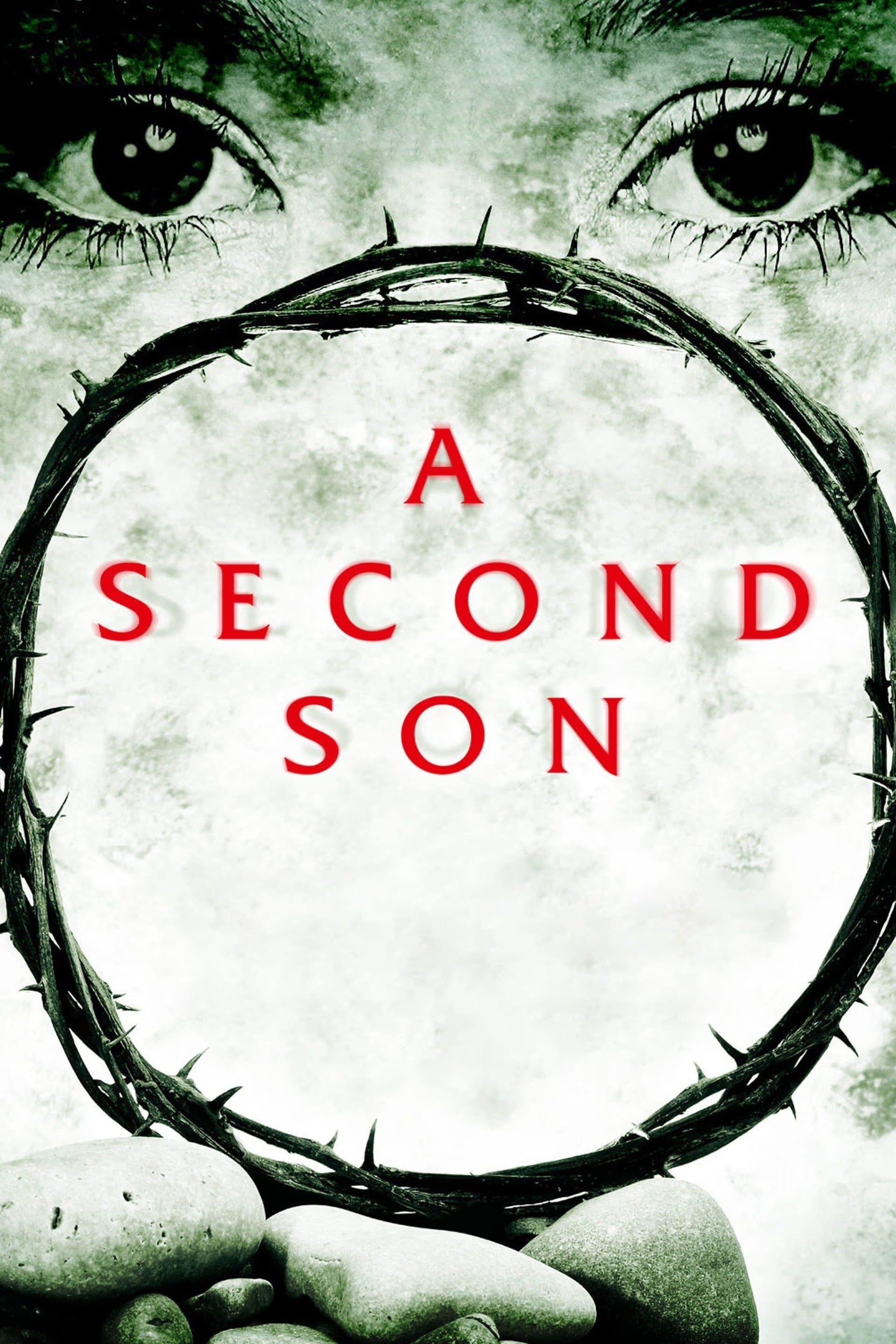 A Second Son photo