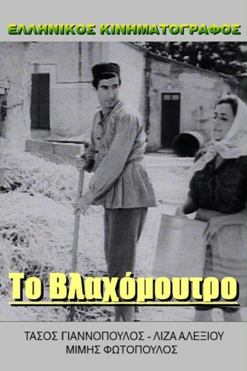 Agent Kitsos calls Gastounis photo