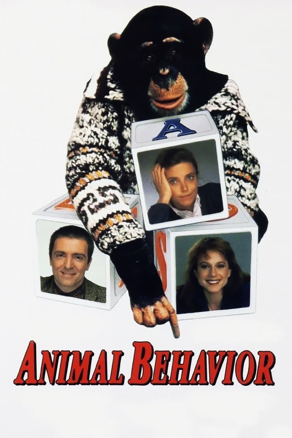 Animal Behavior photo