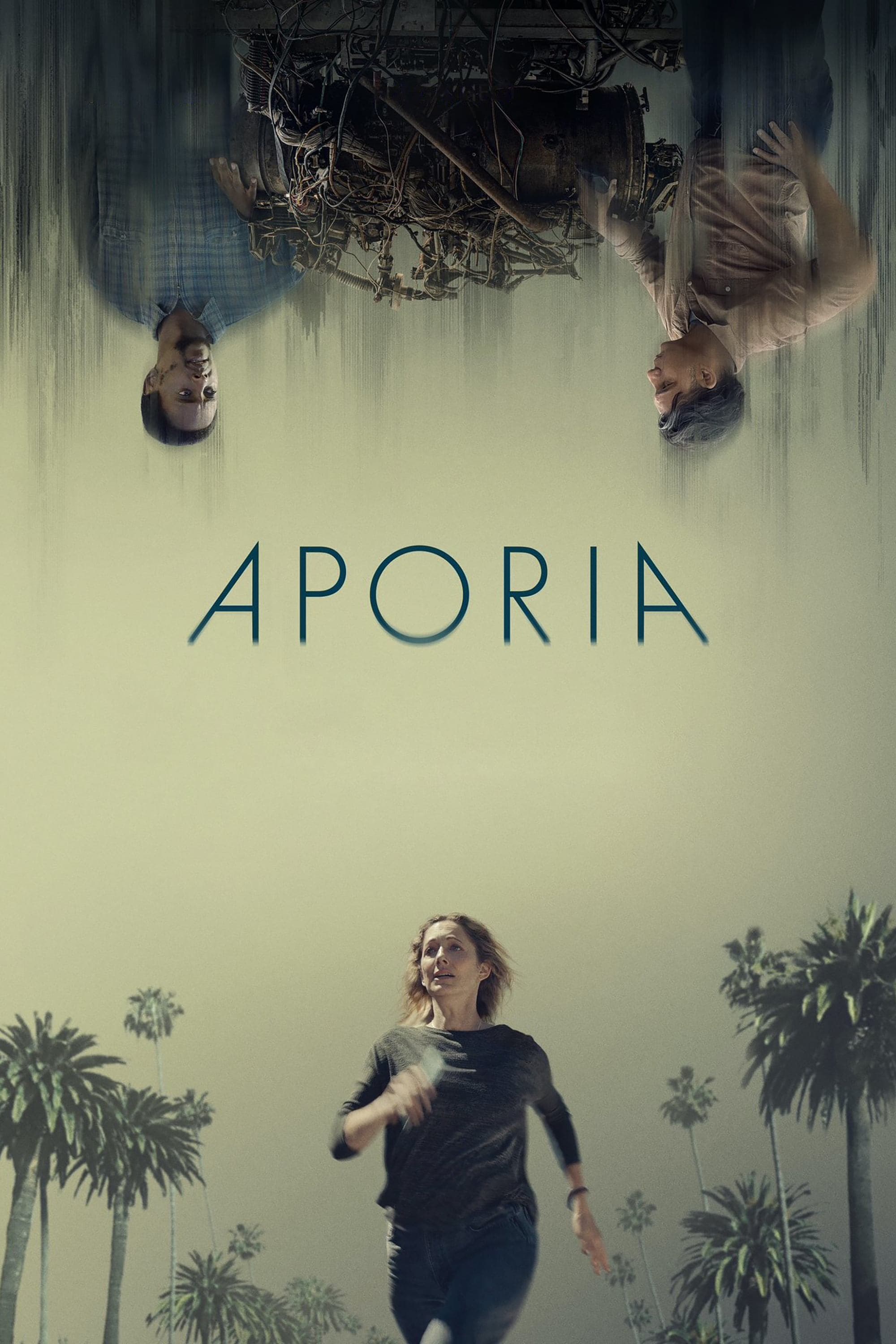 Aporia photo