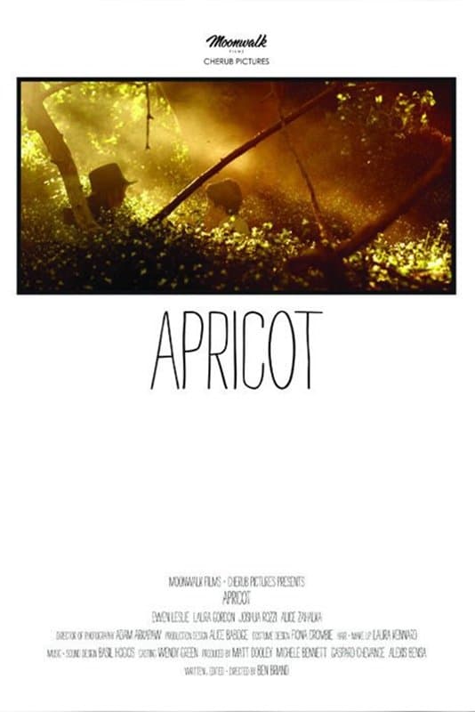 Apricot photo