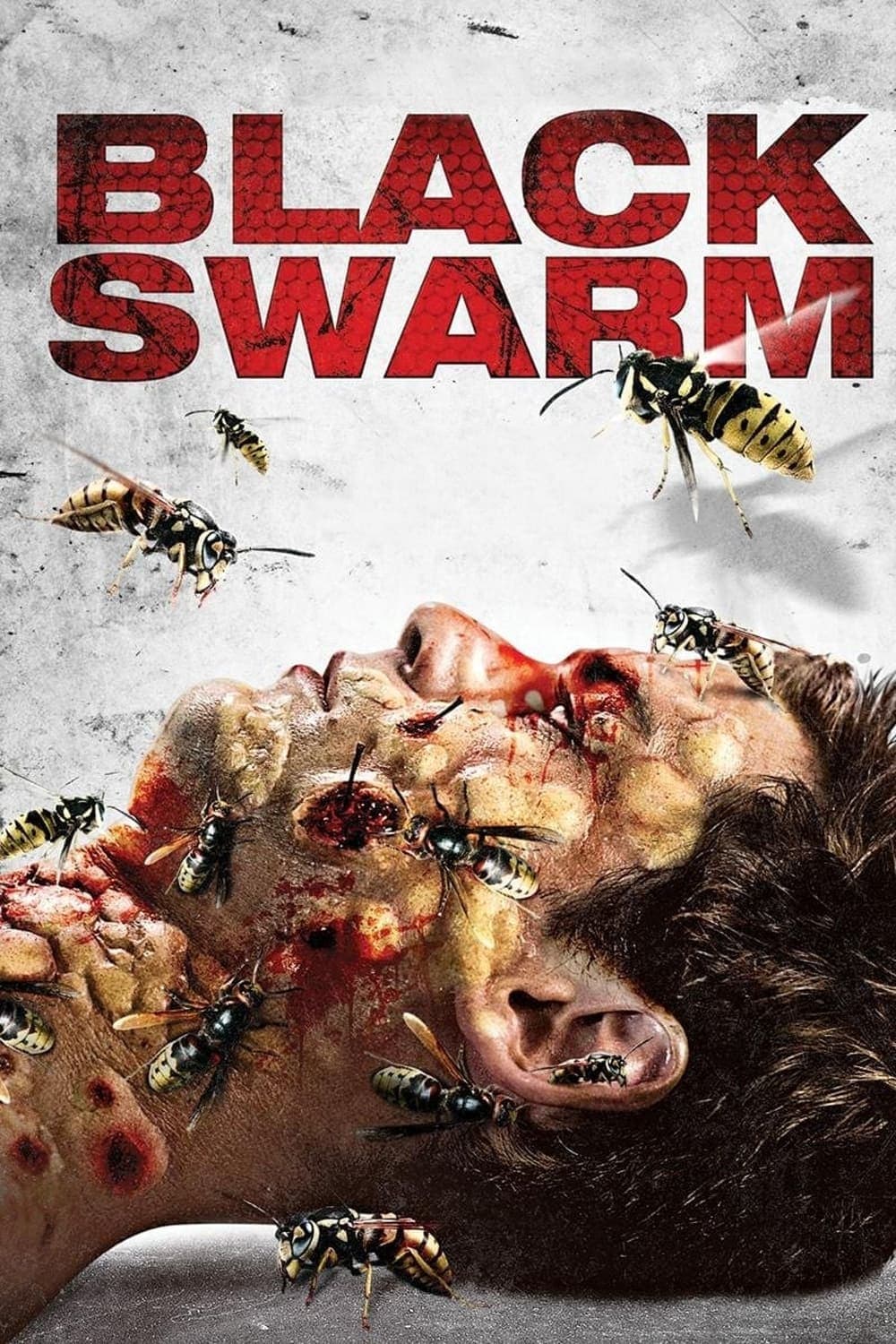 Black Swarm photo