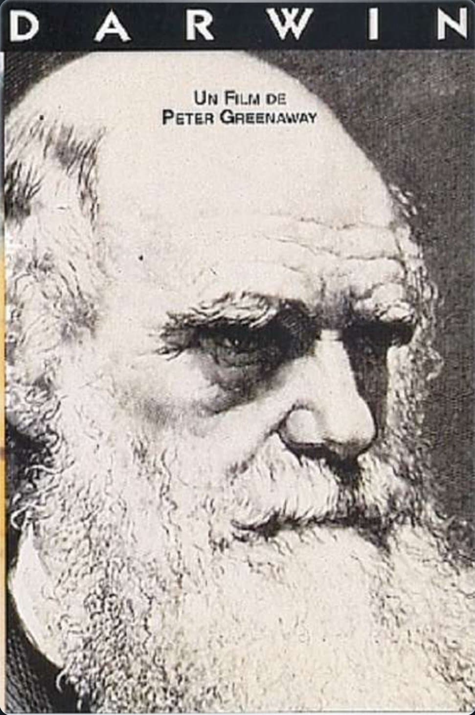 Darwin photo