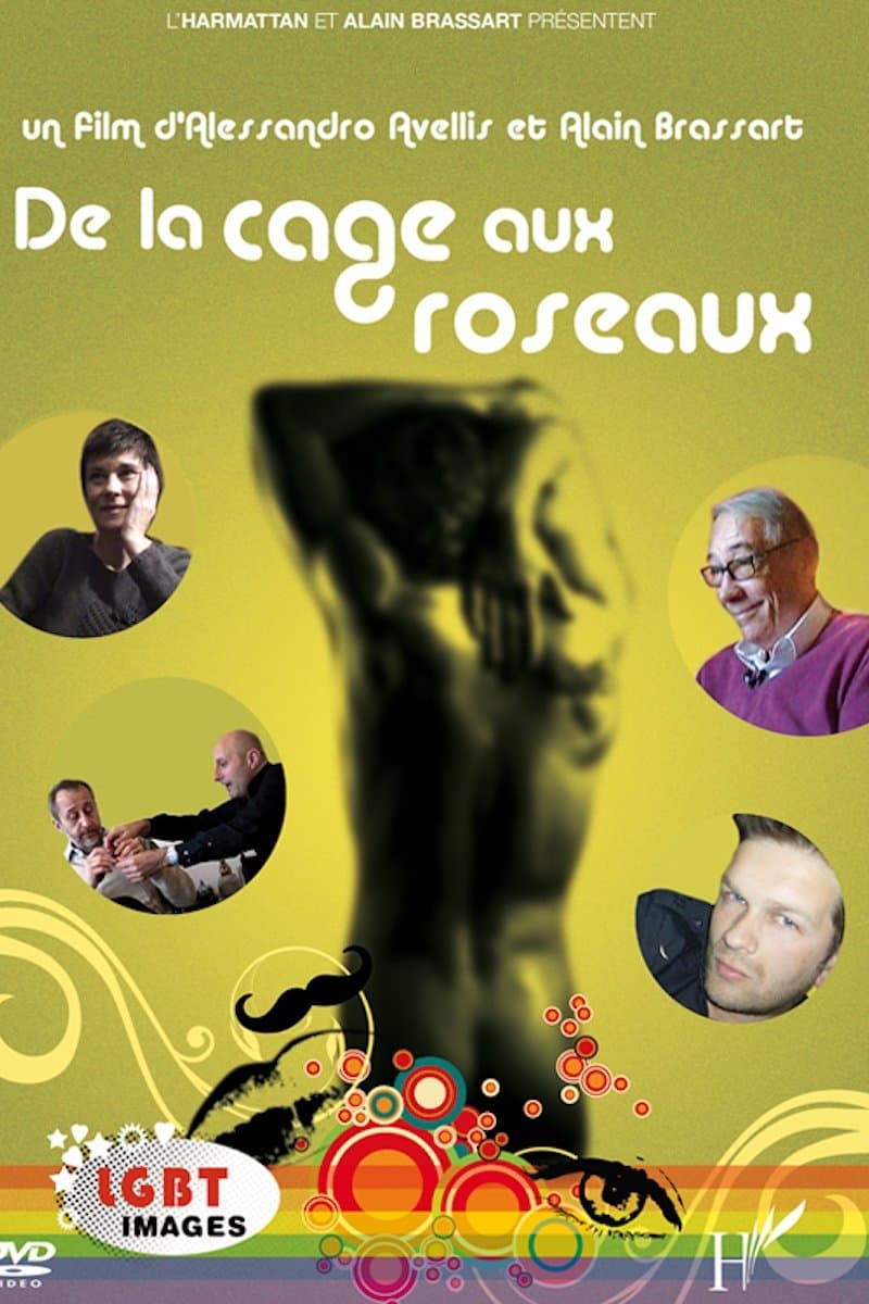 De la cage aux roseaux photo