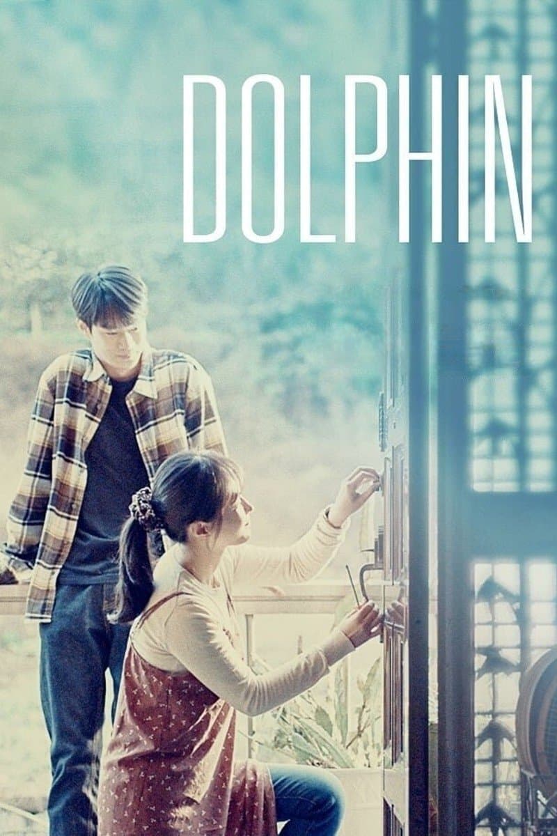 Dolphin photo