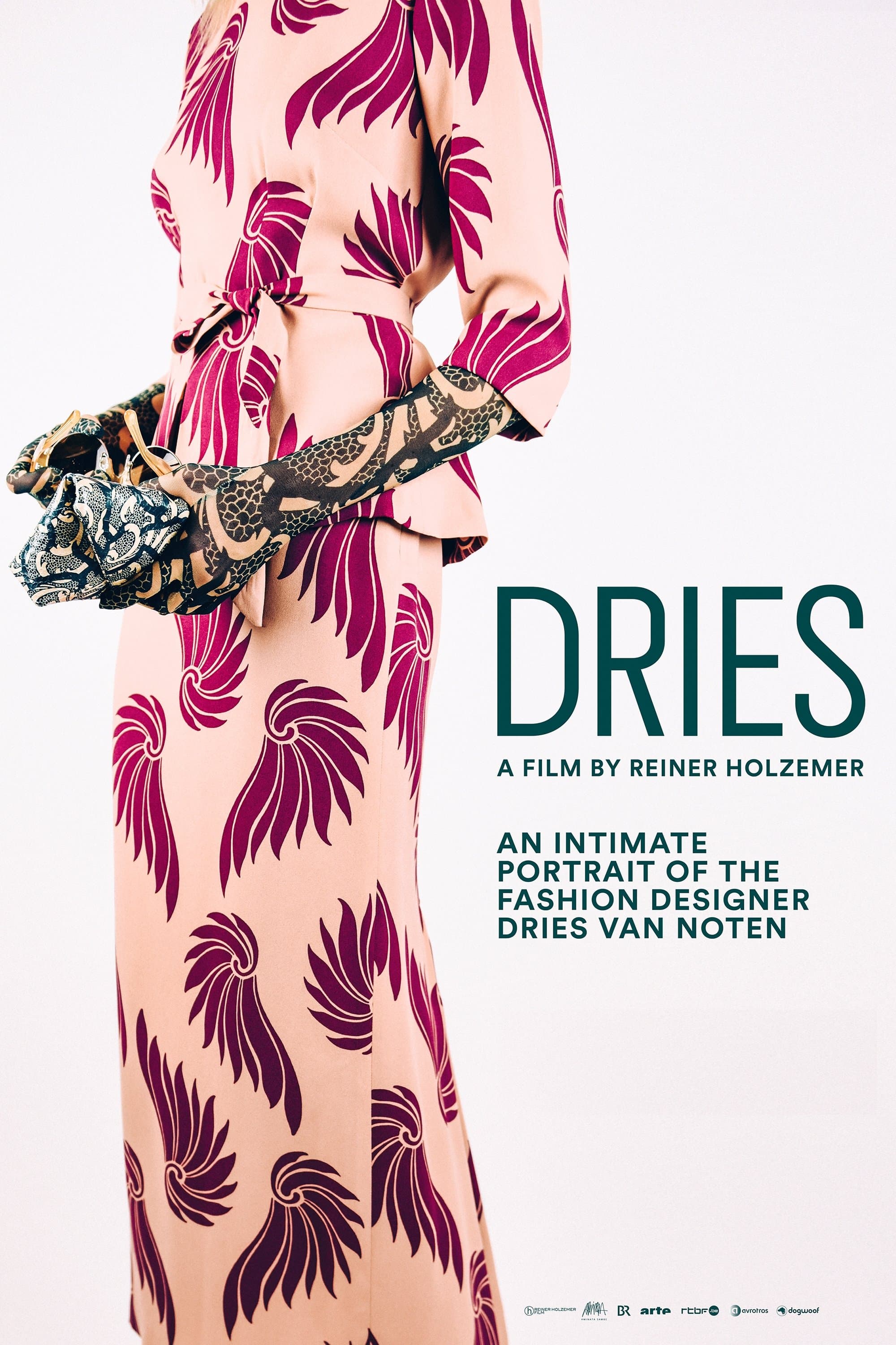 Dries photo