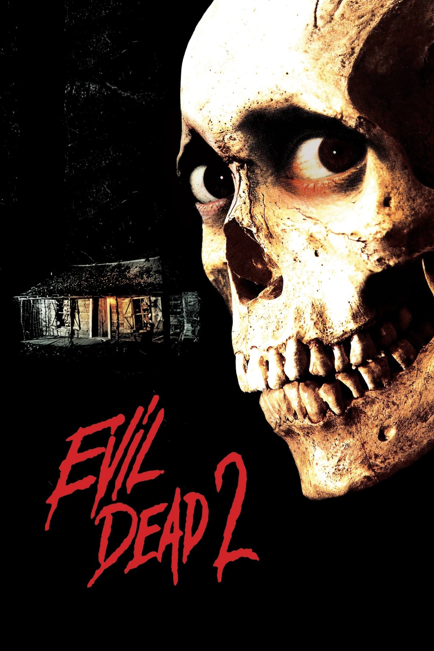 Evil Dead II photo