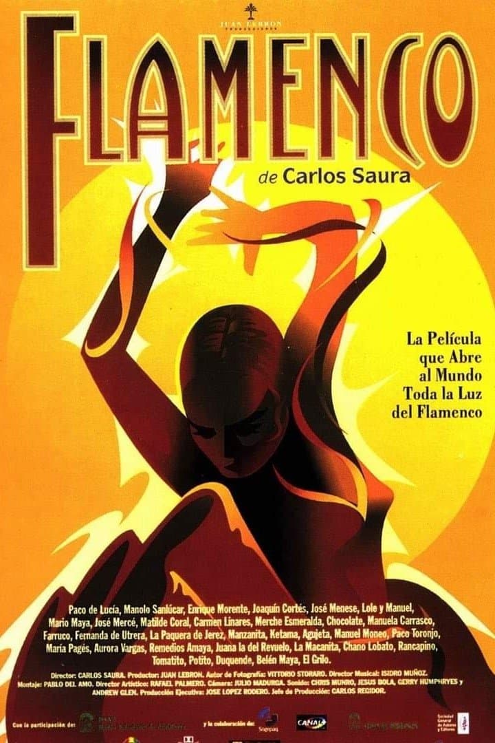 Flamenco photo