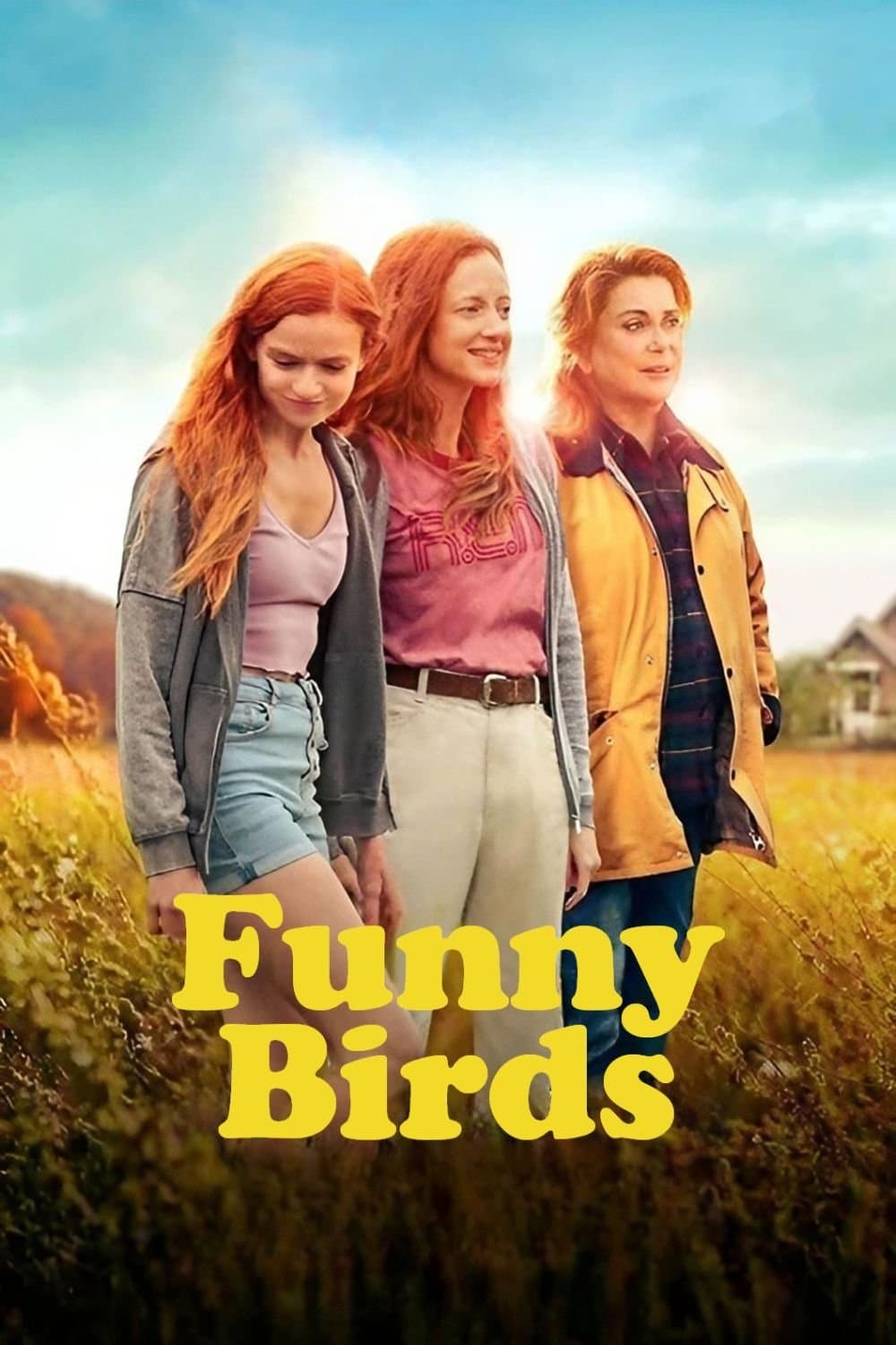 Funny Birds photo