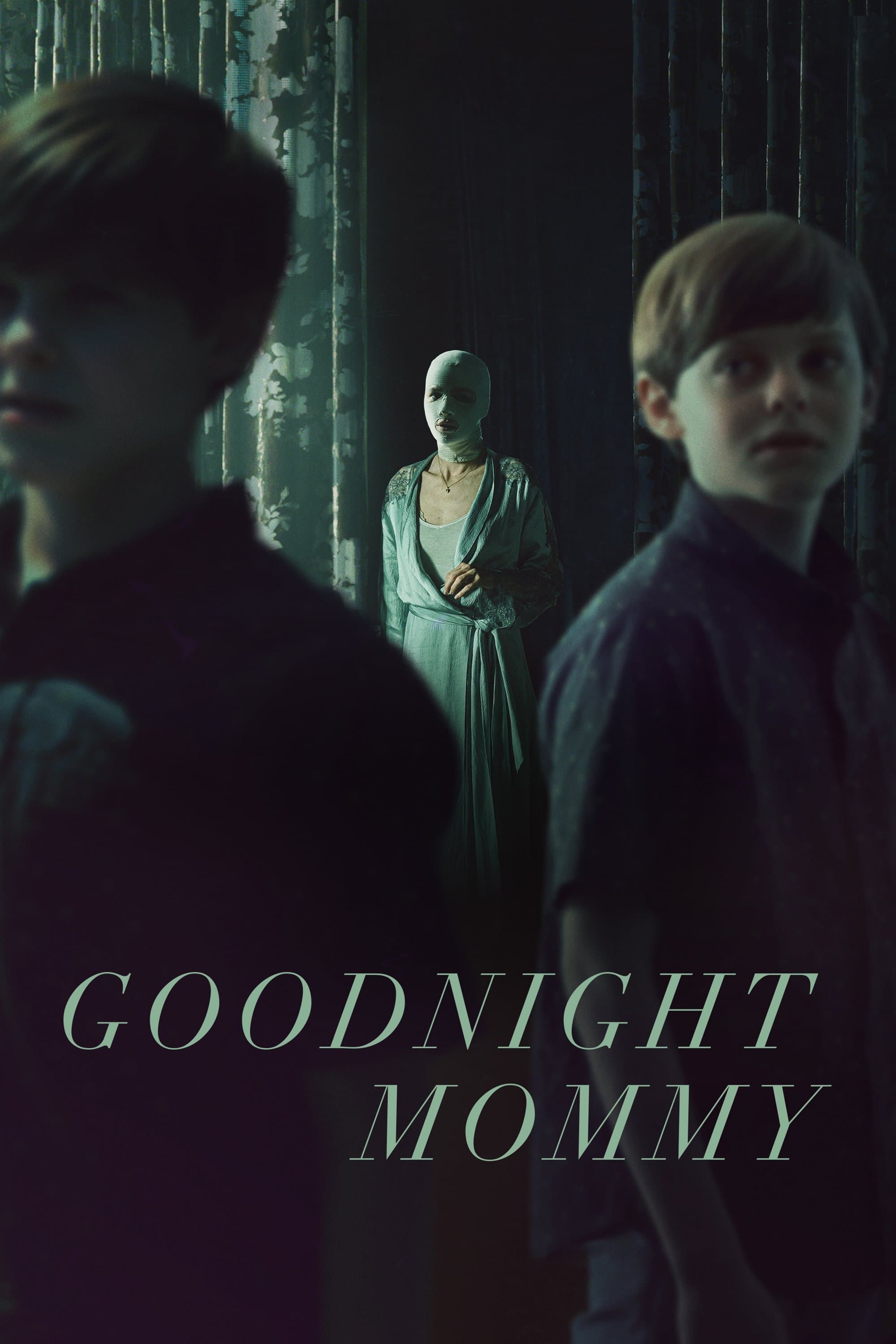 Goodnight Mommy photo