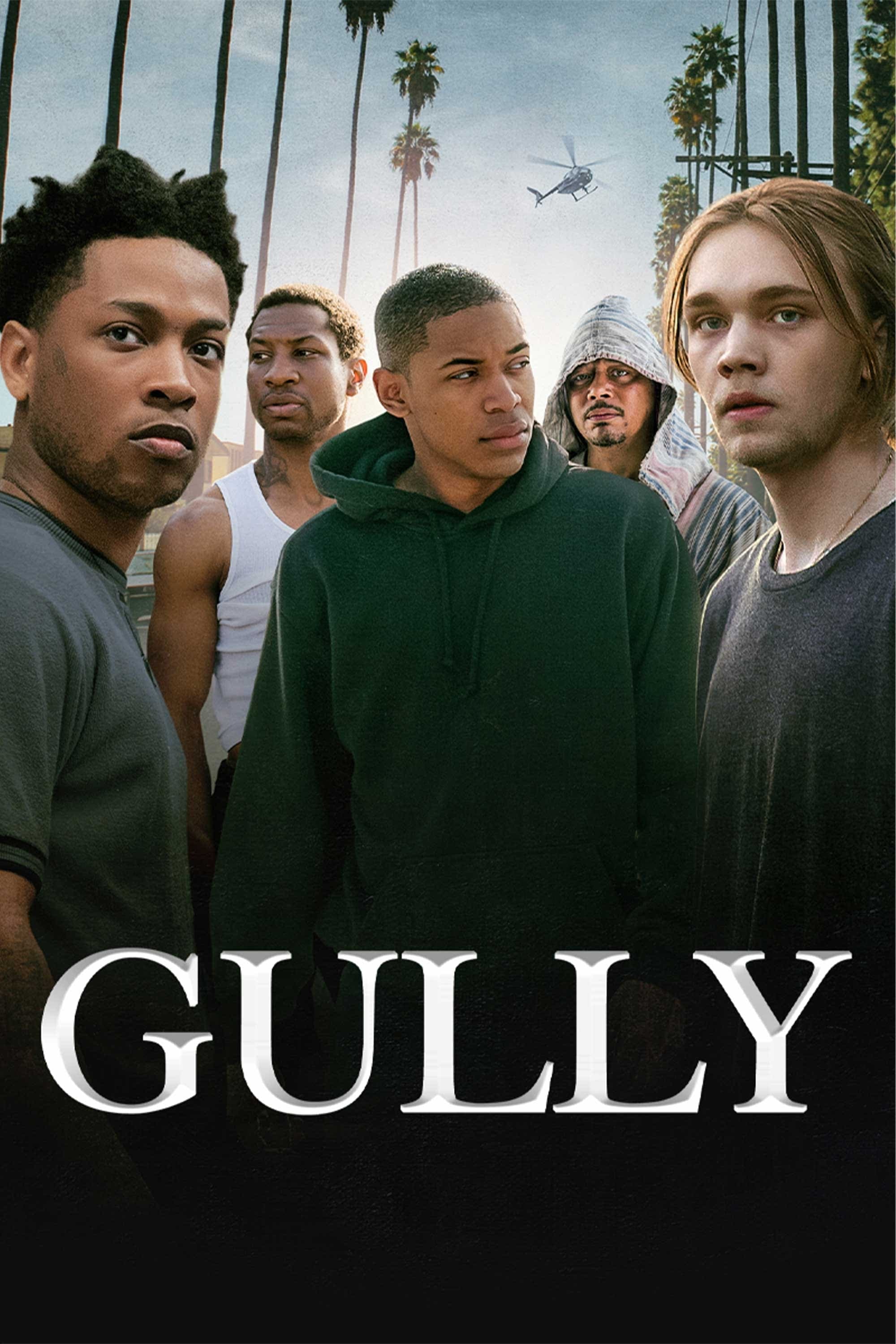Gully photo