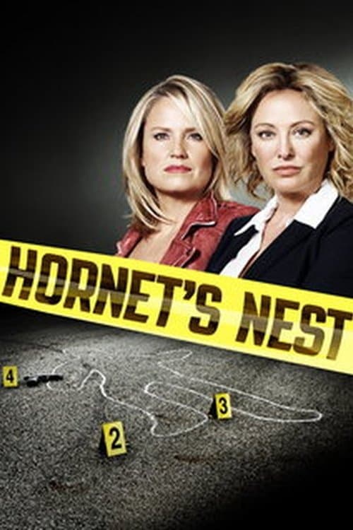 Hornet's Nest photo