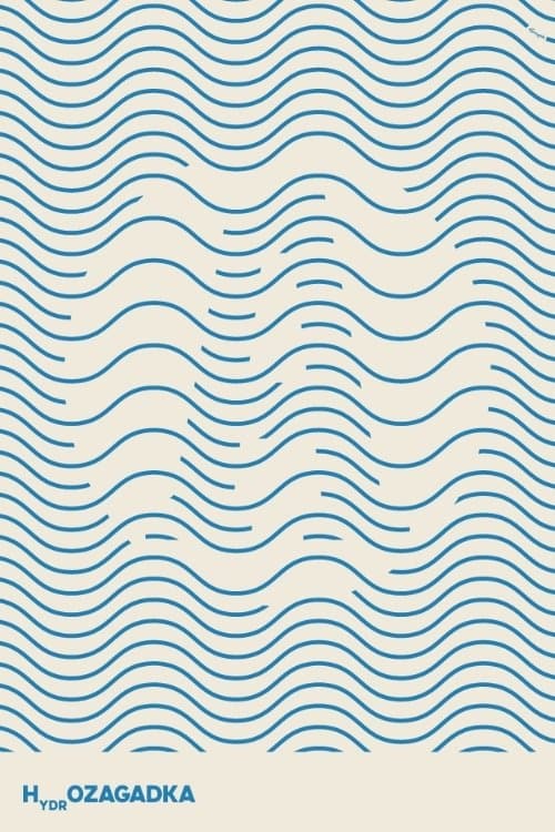 Hydro-Puzzle photo
