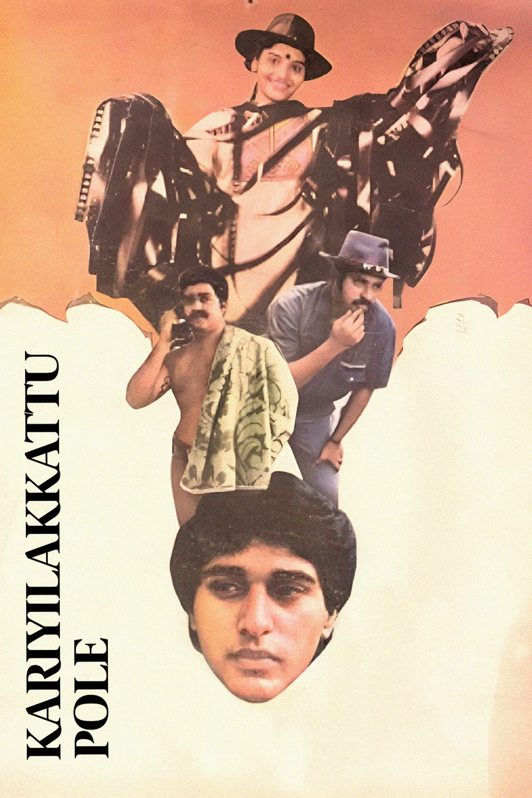 Kariyilakkattu Pole photo