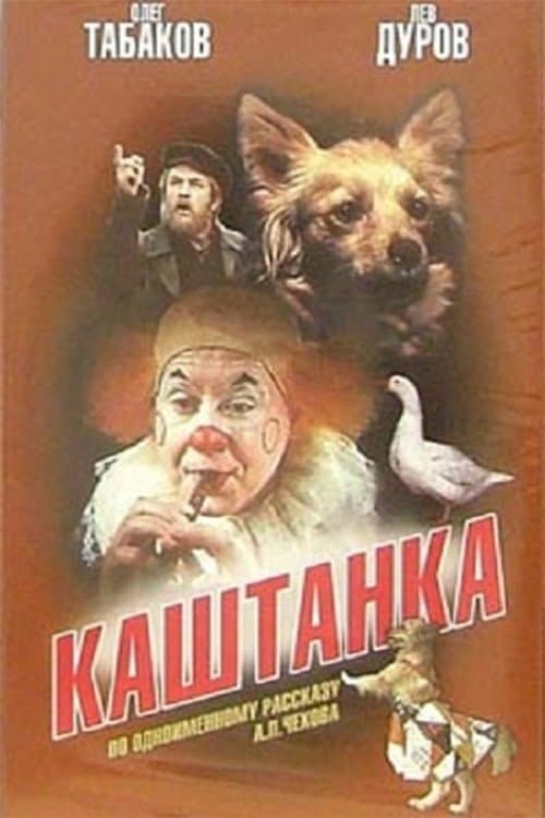 Kashtanka photo