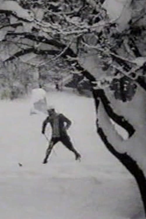 Max Skiing photo