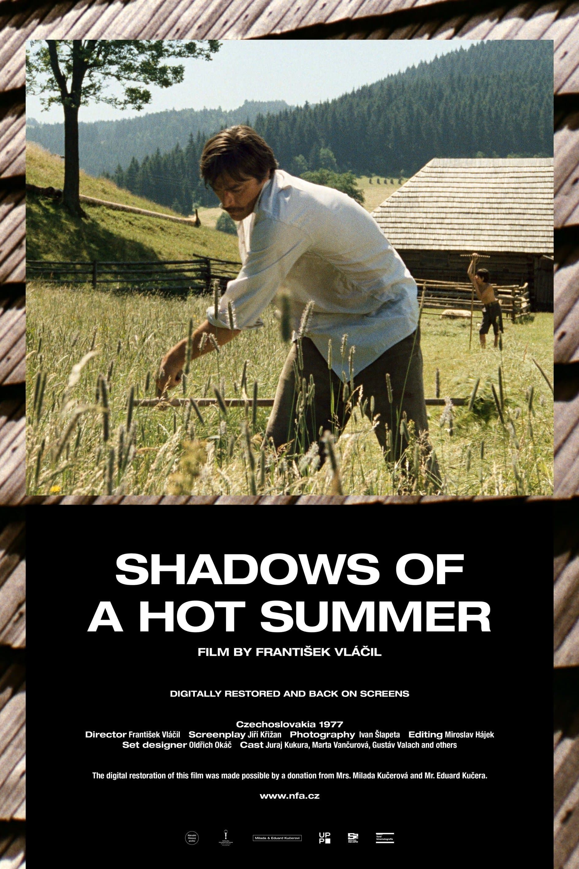 Shadows of a Hot Summer photo