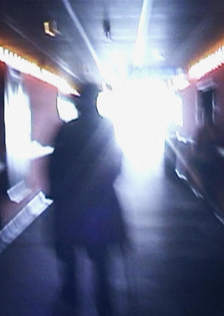Stan Brakhage Exits the Cinema and Enters the Light of Day photo