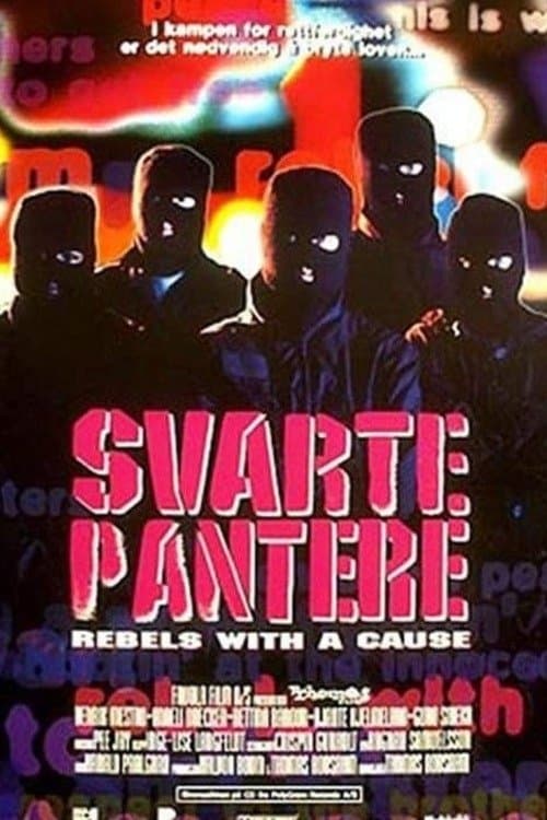 Svarte pantere photo