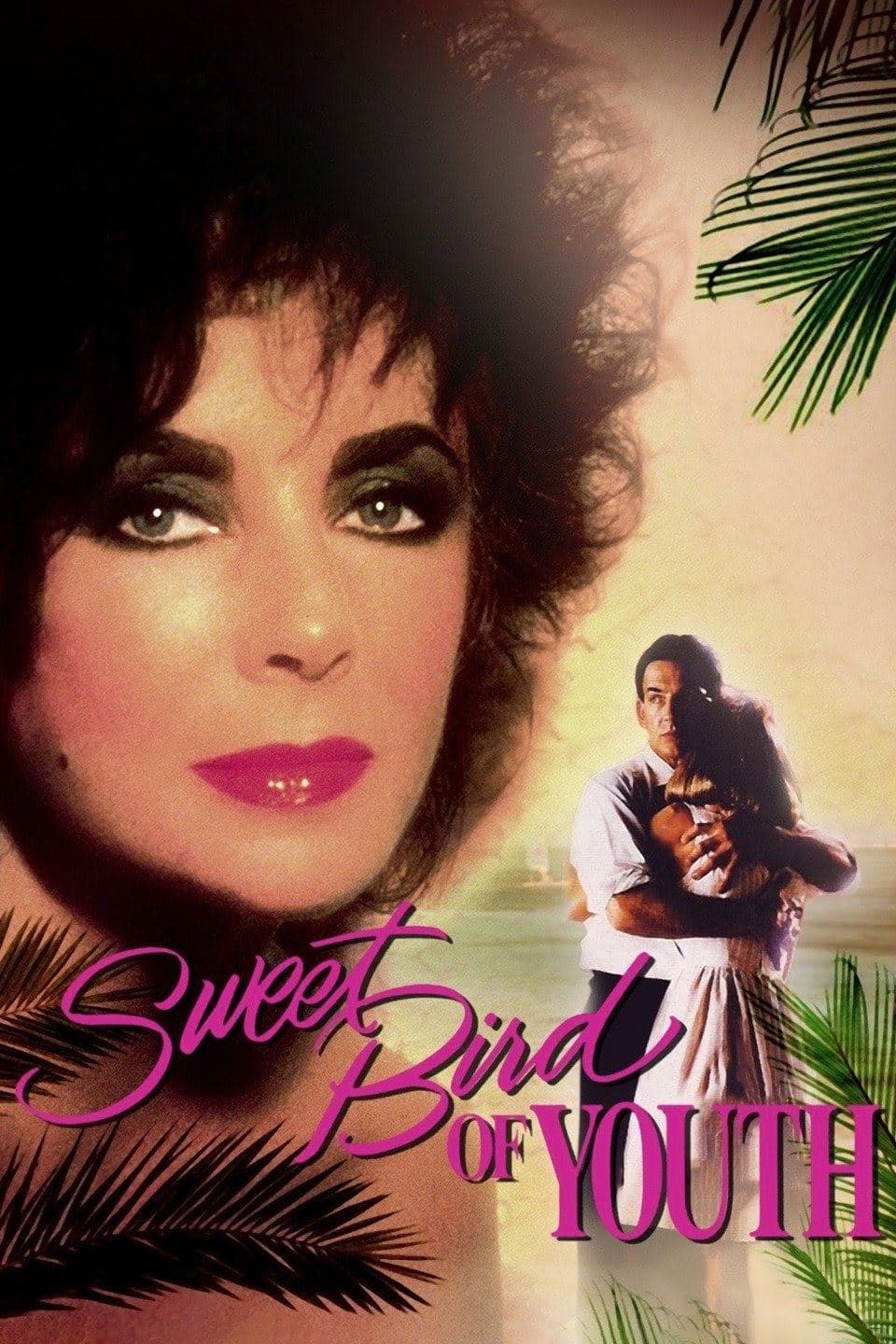 Sweet Bird of Youth photo