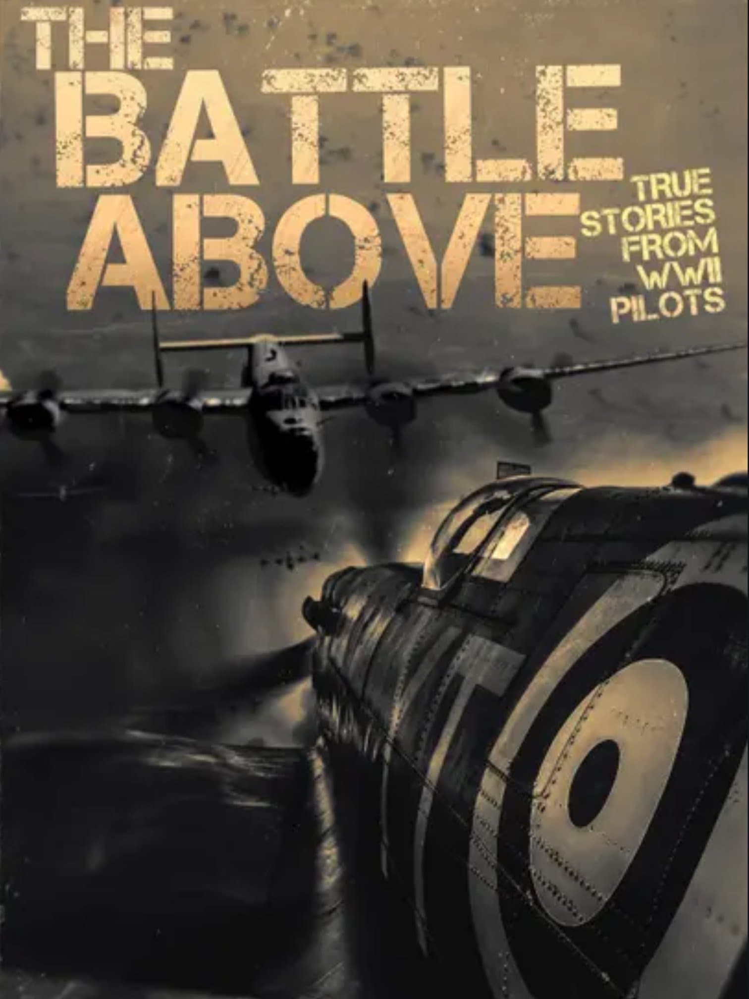 The Battle Above: True Stories From WWII Pilots photo