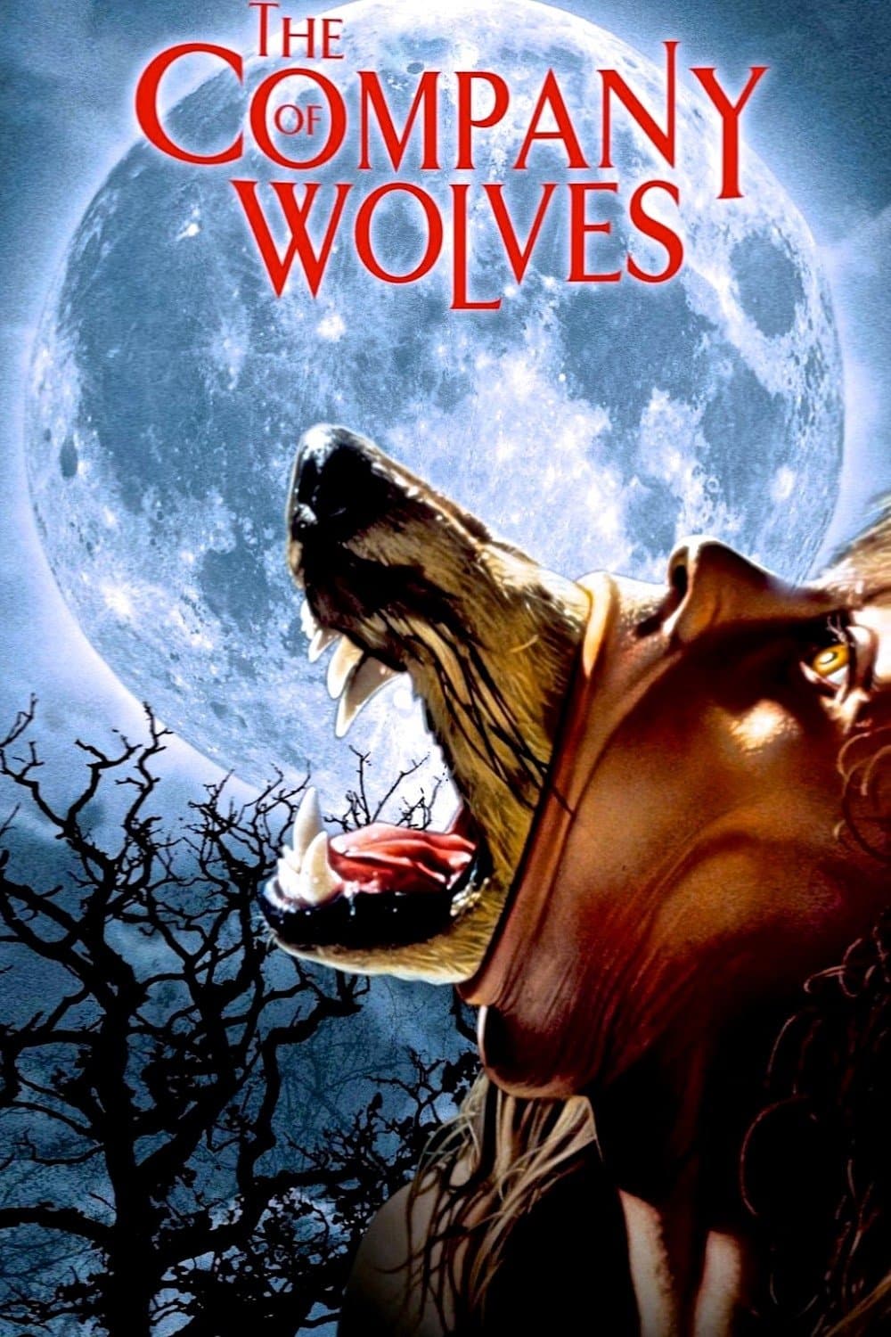 The Company of Wolves photo