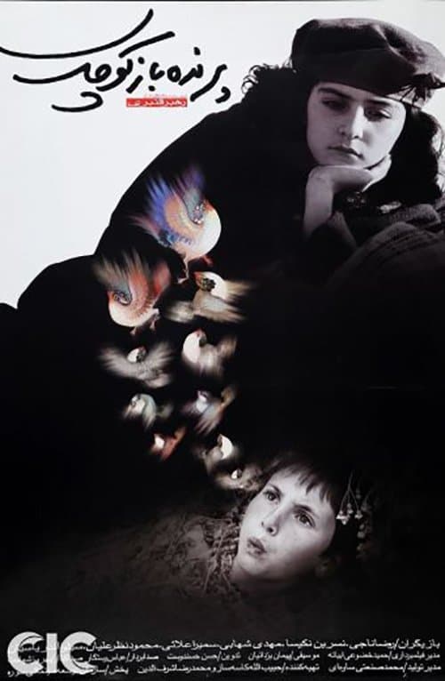 The Little Bird Boy photo