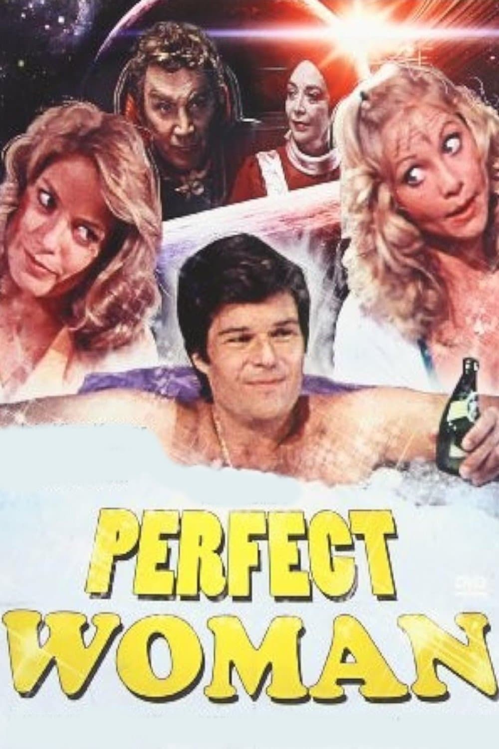 The Perfect Woman photo