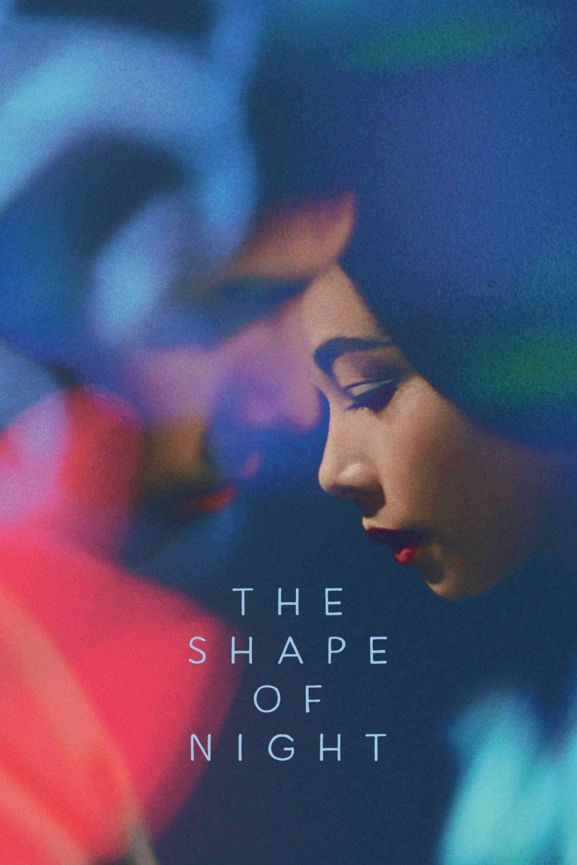 The Shape of Night photo
