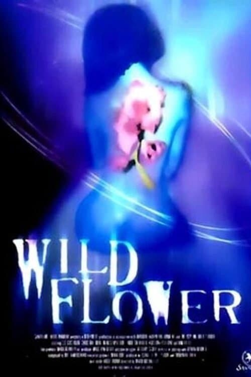 Wildflower photo