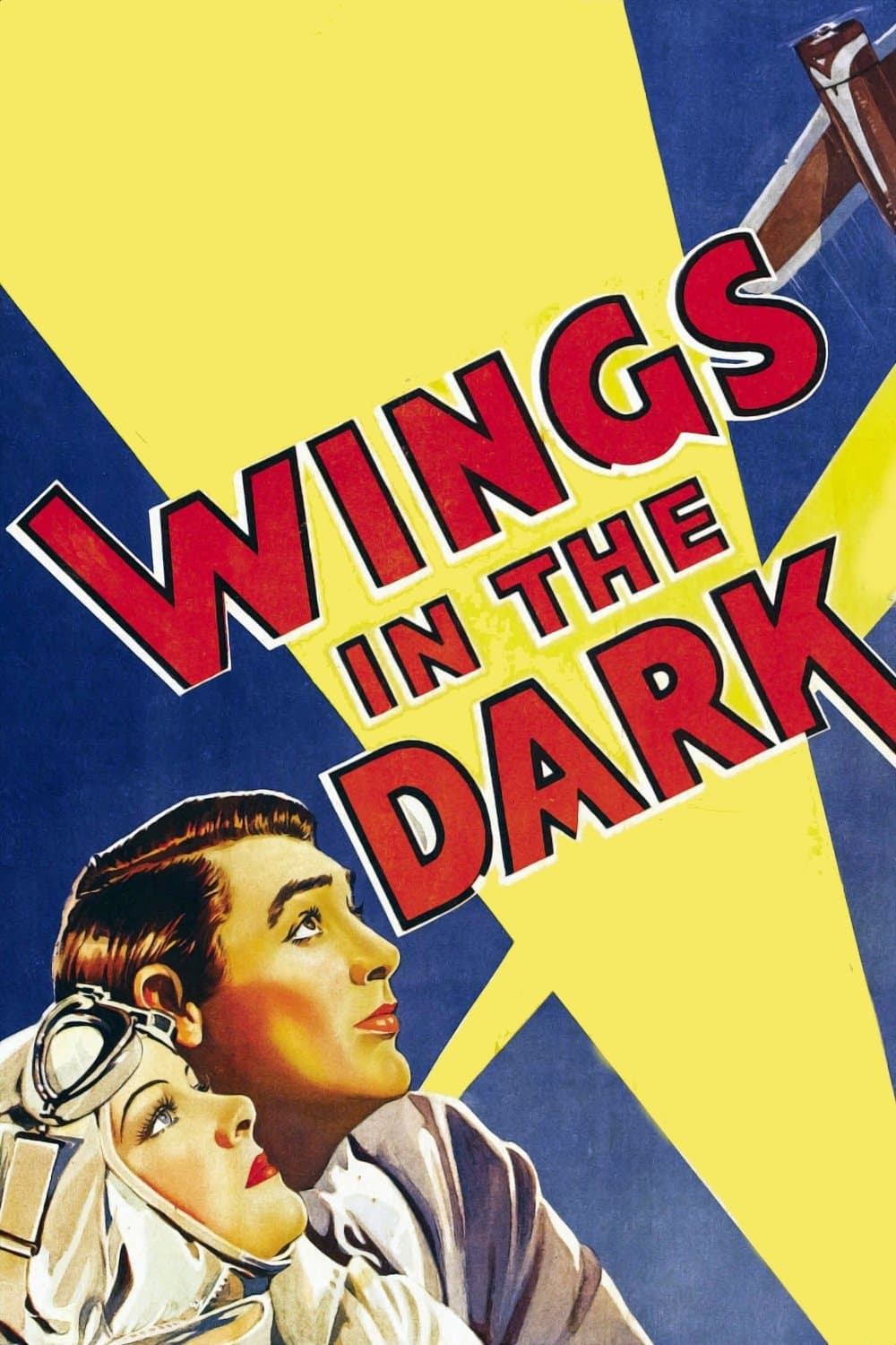Wings in the Dark photo